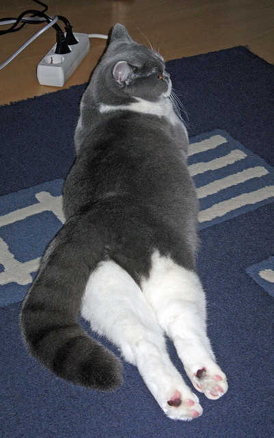 宿命封印与旧主回响，西亚卡姆的制胜一投如何照亮76人团队胜利