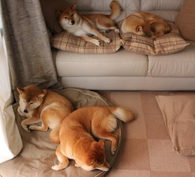 电光火石间，那个被遗忘的名字改写了斯坦福桥的夜晚