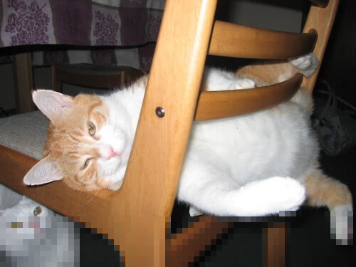 一锤定音!阿坎吉让哥斯达黎加创造唯一胜利