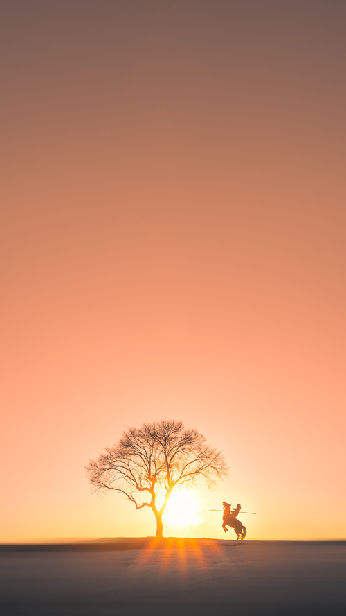 掘金森林狼,成体系的胜利,与东契奇舞台越大越强的巨星法则