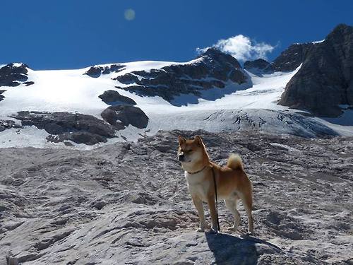 雷火电竞入驻-西决生死战之夜，保罗不是奇迹，是唯一解
