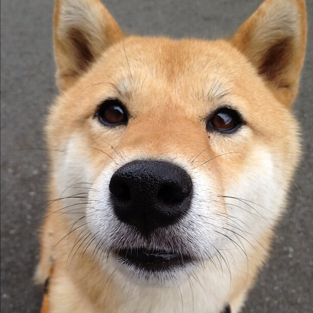 爵士对广厦，杜兰特化身棋盘刺客，连续致命打击终结悬念