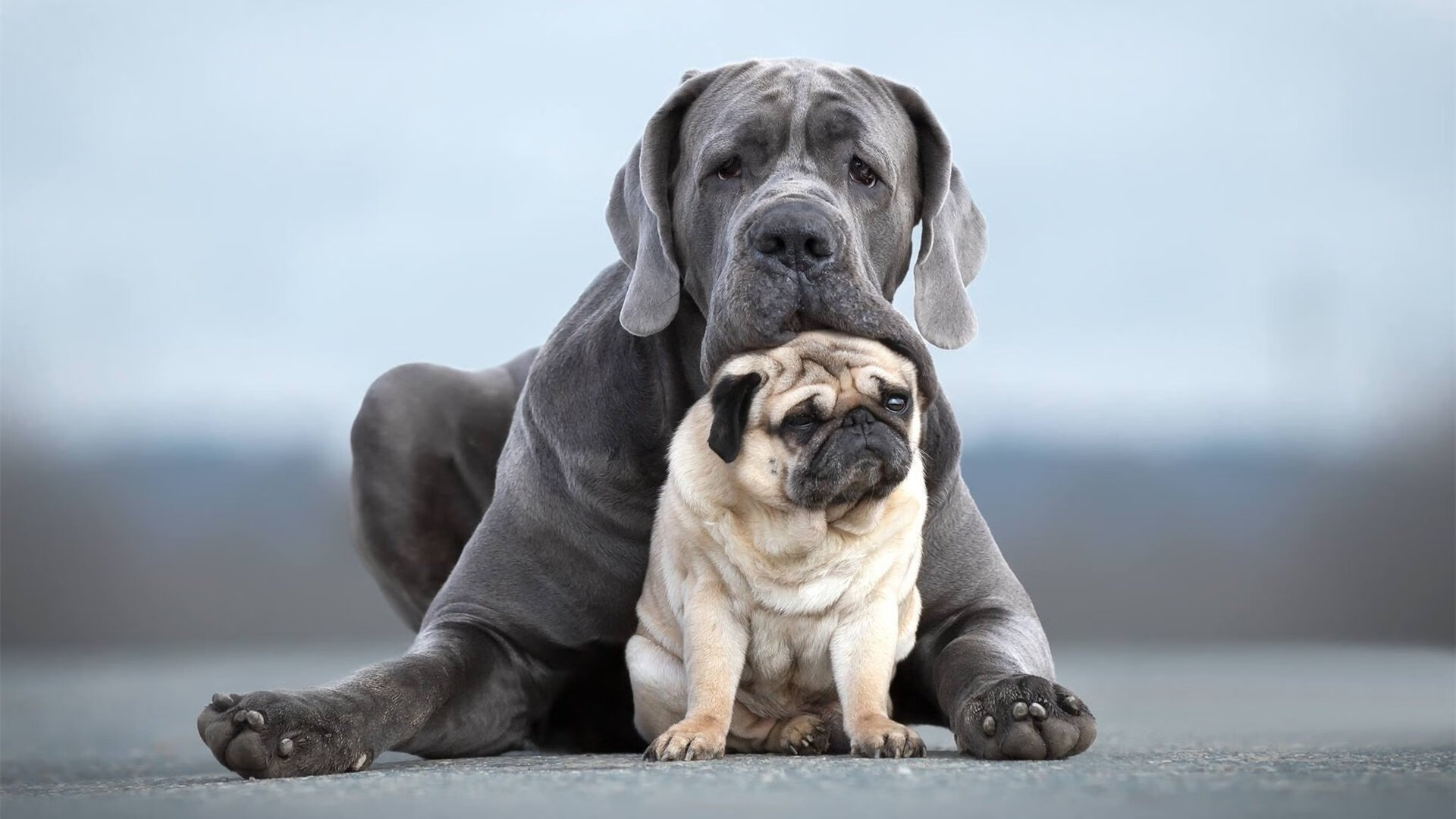 雷火电竞入驻-跨界启示，当哥斯达黎加横扫国际米兰的战术照亮NBA总决赛的舞台