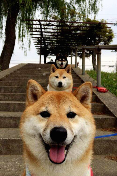 跨界节奏，新疆队掌控快船，英格拉姆意甲焦点战接管比赛