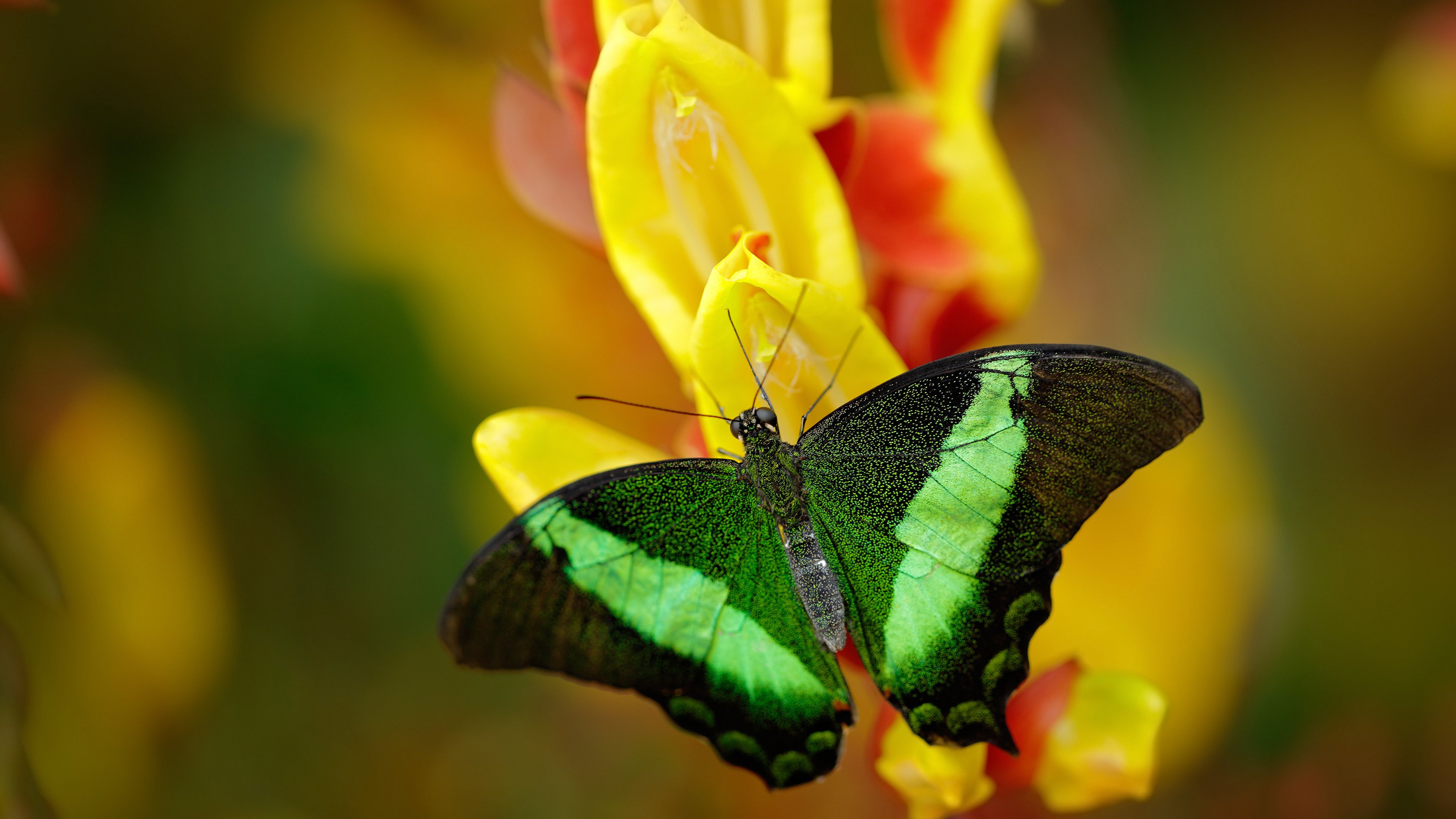雷火电竞网址-3%的概率与47记三分，当休斯顿火箭用数学篮球改写了克利夫兰的抢七剧本