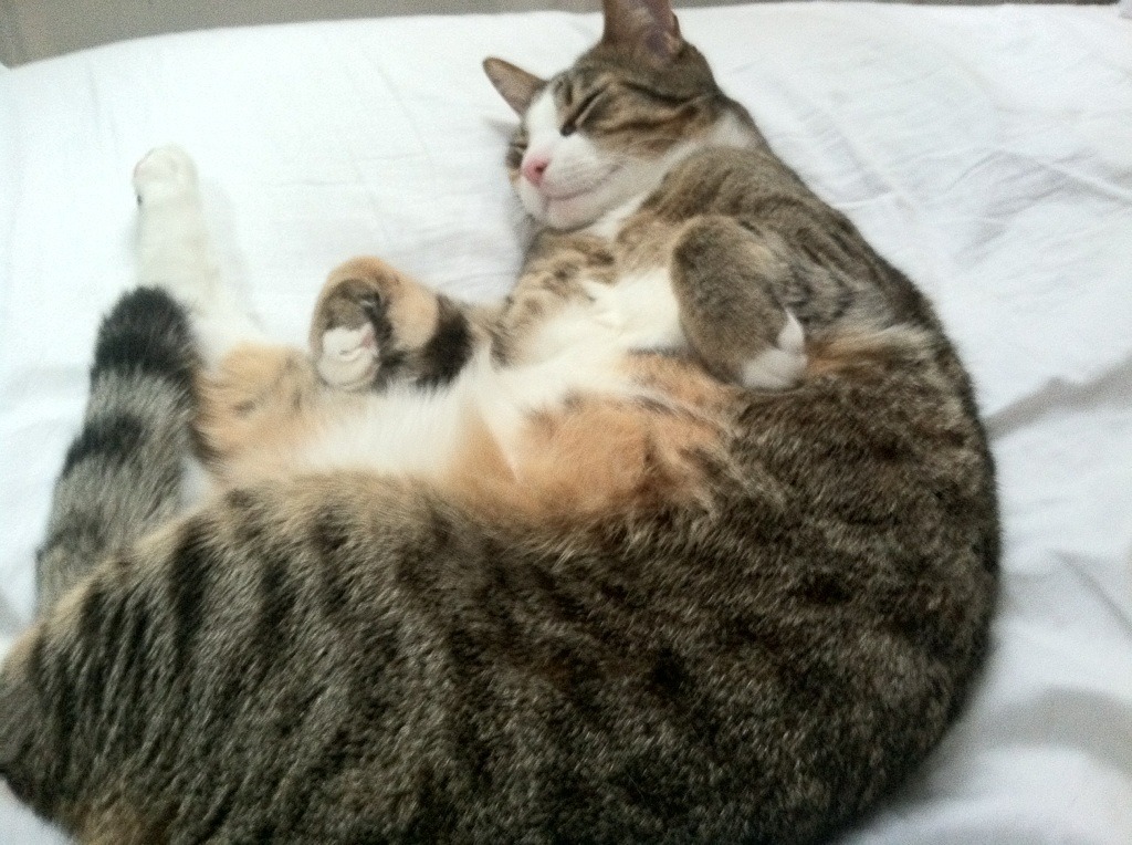 雷火电竞充值-这里有一个扩展思维的标题创意