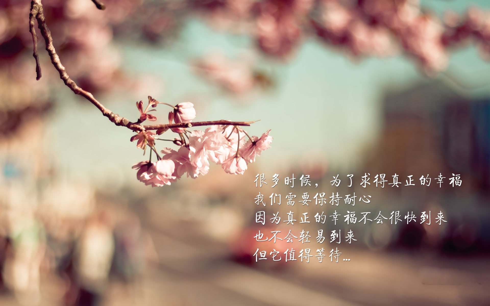 雷火电竞简介-东风破与芝加哥舞步，一场跨时空的对决，拉文在钱塘江畔重写公牛史诗
