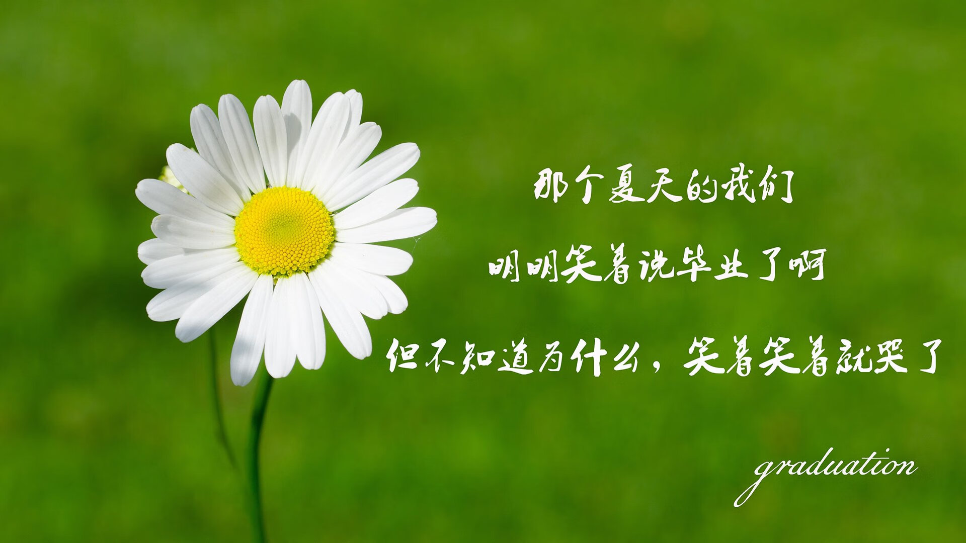 这是一篇为你定制的深度专栏文章,结合了唯一性、竞技戏剧和未来叙事的元素
